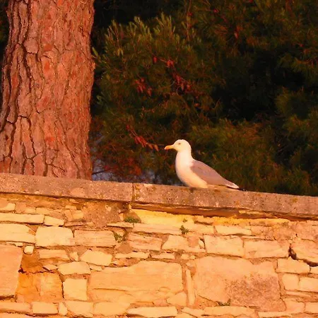 Apartamento Luna Poreč