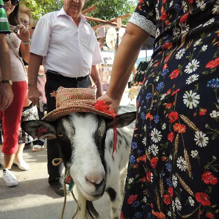 Luna * Poreč